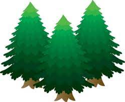 Gambar Pohon Pinus Kartun Lucu Pine Tree Cartoon Pictures Wallpaper Menggambar Pohon Lukisan Pohon Gambar Kartun