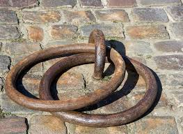 Ohne Titel Animals Snake