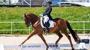 À seulement neuf ans, kilkenny présente d'impressionnants résultats jusqu'en <b>grand prix csi 5* et une technique de saut tout aussi. Reiten Internationale Turnieratmosphare In Verden Weser Kurier