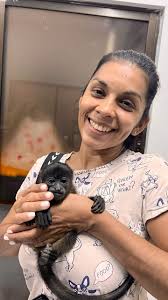 Please donate and share! , Sinpe