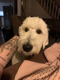 Helping dad clean up grape juice spills