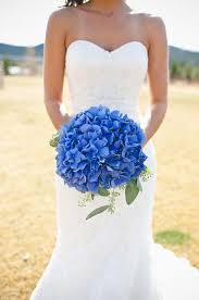 A Show Stopping Bouquet Is Made Of Bright Blue Hydrangeas Blue Hydrangea Wedding Blue Wedding Bouquet Blue Hydrangea Bridal Bouquet