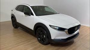 Image result for Arctic White 2024 MX-30