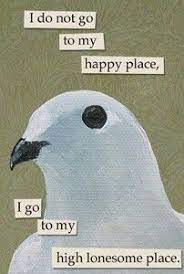 Pin On Something Witty