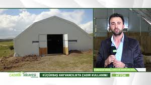 Cadirin Hikayesi Kucukbas Hayvancilikta Cadir Kullanimi Youtube