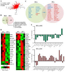 Crispr Cas9 Mediated Asxl1 Mutations In U937 Cells Disrupt