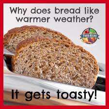 Whole Grain Bread Joke Food Jokes Food Bread