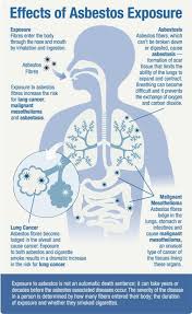 The cancer care team includes a variety of other health care professionals. Do Not Disturb Asbestos Mesothelioma Asbestos Cancer