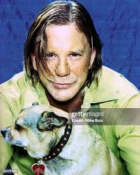 228 Mickey Free Stock Photos, High-Res Pictures, and Images