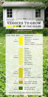 25 Vegetables You Can Grow In Shade Empress Of Dirt