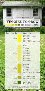 25 vegetables you can grow in shade empress of dirt