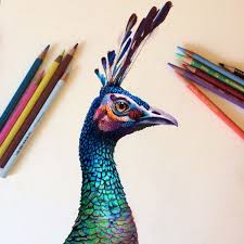 Pin On Colored Pencil Drawings