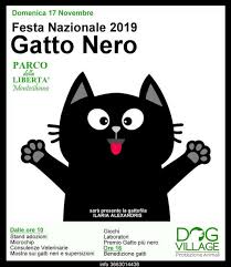 L'8 agosto è la giornata internazionale del gatto. Festa Del Gatto Nero A Montesilvano Ecco Dove E Quando