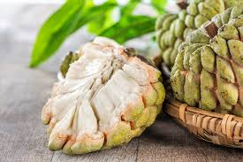 Image result for Annona squamosa