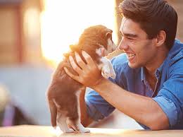In hope to get any reply as soon as possible, as i need to also make. Pet Buy Sell Pet Engage Pet Relocation Online Pet Forum In Pakistan