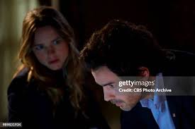 1,220 Shane Harvey Stock Photos, High-Res Pictures, and Images