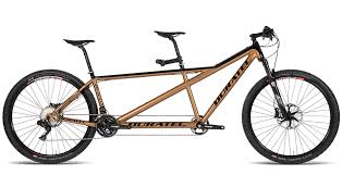 Перевод слова tandem, американское и британское произношение, транскрипция, словосочетания, примеры использования. Tandem Big Bang C9 Designer Duratec