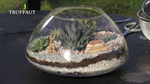 Diy Deco Terrarium De Cactus Et Plantes Grasses Jardinerie Truffaut Tv Terrarium Cactus Jardinerie Truffaut Idees Terrariums
