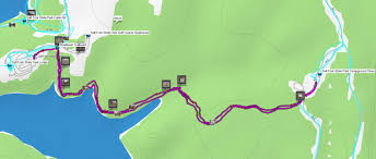 Maybe you would like to learn more about one of these? 20191130 Salt Fork State Park Shadbush Trail Hiking With Doc
