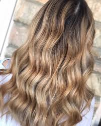 If you are seeking a perfect warm blonde color outcome then this the color shade is what you need. 30 Best Honey Blonde Hair Colours For Women In 2020 All Things Hair