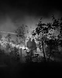 Michael Berumen (@meekakle) • Instagram photos and videos