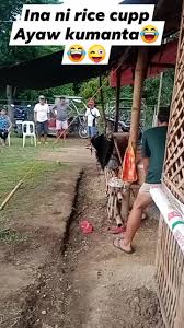 Profile for Joel Landicho