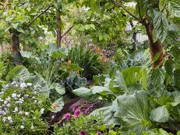 Deep Green Permaculture Connecting People To Nature Empowering People To Live Sustainably Permaculture Garden Pest Control Garden Landscape Design