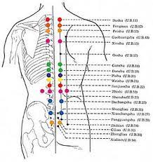 The Front Mu And Back Shu Points Combinations Calgary