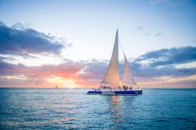 Image result for Selago barabei