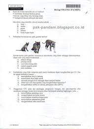 Tapi tidak ada salahnya membaca agar menambah nantikan update lainnya untuk soal yang berbeda. Soal Un Biologi Sma Tahun Pelajaran 2015 2016 Paket Soal 3 Blog Pak Pandani