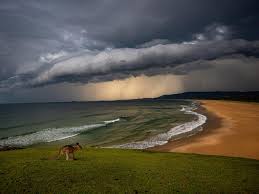 Weather forecast in mobile app. Severe Weather And Flash Flooding To Hit Nsw Daily Mercury