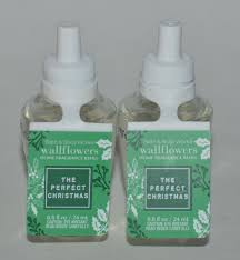 Hoa Tường Trắng Bội Khuế Tán Hương Thơm Vietnam | Ubuy