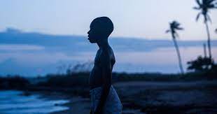 What emerges is a portrait of which films unnerved and spooked out critics, have the potential to get audiences' heart racing, and maybe even broke new ground and bones for the genre. 100 Best Movies On Netflix Right Now May 2021