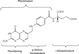 Thiamin hat die summenformel c 12 h 17 cln 4 os und enthält zwei stickstoffhaltige ringsysteme. Die Lebensnotwendigen Amine Springerlink