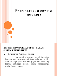 Silabus sistem urinaria s1 keperawatanfull description. 329322587 Farmakologi Sistem Urinaria Pptx