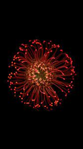 Iphone 6 Wallpaper Flower Iphone Wallpaper Iphone 6s Wallpaper Iphone Wallpaper