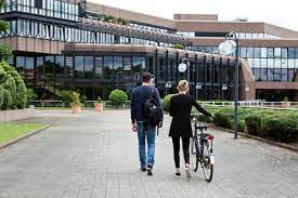 | 157 kontakte | startseite, profil, aktivitäten, artikel von rebeca anzeigen Studieren In Mannheim Hochschulen Im Uberblick