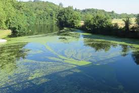 Aubance, authion, èvre, layon et hyrôme, loir, loire, maine, mayenne, oudon, sarthe, sèvre nantaise et moine, thouet et dive. Secheresse De Nouvelles Restrictions En Loire Atlantique L Hebdo De Sevre Et Maine