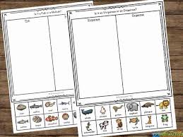No, understanding all the complexities of second grade math isn't easy for most students, but our second grade math worksheets can help smooth. Free Animal Classification Worksheets