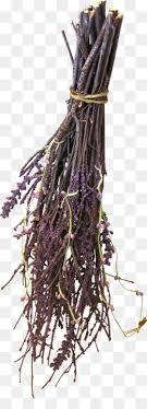 Veja mais ideias sobre imagem em movimento, animação, gif bonito. Cuerda Hilo Lana Imagen Png Imagen Transparente Descarga Gratuita