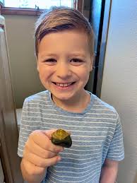 What is this rock found in landscaping rock in Northern Michigan?