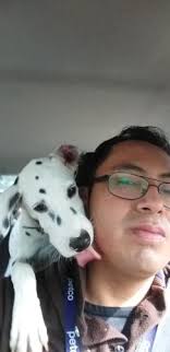 Entrenamiento canino en Cancún