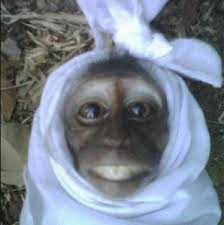 Hantu Hantu Lucu