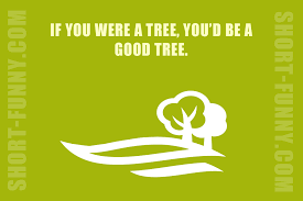 We have compiled and written the best database for some cheesy and sometimes lame pick up lines. Funny Pick Up Lines Short Funny Com