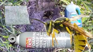 Solitary species, such as mud dauber wasps, defend their nest alone. 2 Ways To Kill A In Ground Bees Nest How To Kill Ground Wasp And Yellow Jackets Youtube