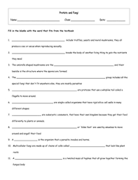 4 Set Protists And Fungi Worksheets With Keys Protists Worksheets Study Guide