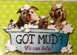 We offer medicated, flea and tick ,oatmeal and other specialty baths. All Pets Grooming Facebook