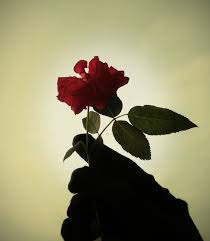 Maybe you would like to learn more about one. Aku Si Mawar Layu Itu Imra Atul Hulwah