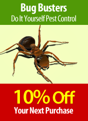 Popular cities with do it yourself pest control locations. Bug Busters Do It Yourself Pest Control 3790 14th St W Bradenton Fl Pest Control Mapquest