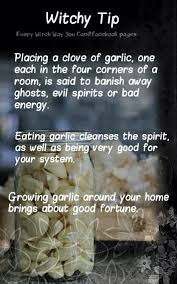 Witchy Tip Garlic Pinned By The Mystic S Emporium On Etsy Stop By My Shop Www Etsy Com Shop Teolddesign Witchcraft Witch Wicca
